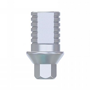  ���� ������ ��� 2.00 �� �� ���� ��� ��� ���� DSI ���� 3.00 �"� ������ DSI CAD/CAM TI-BASE ABUTMENT