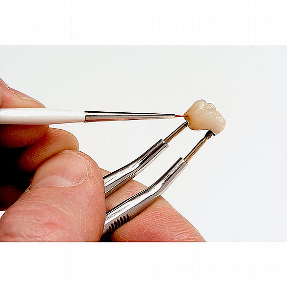 ������ �������� ������ ������ Renfert Takanishi Synthetic Bristle Brush