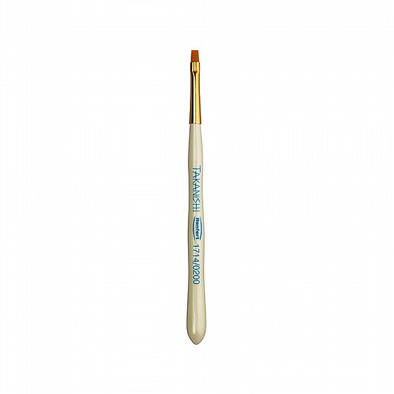 �� �� 6 ������ �������� ������ ������ Renfert Takanishi Synthetic Bristle Brush