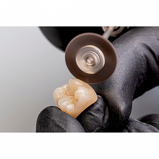������ ����� ������ �����, ������ ������ ������ Renfert Bison Polishing Brush