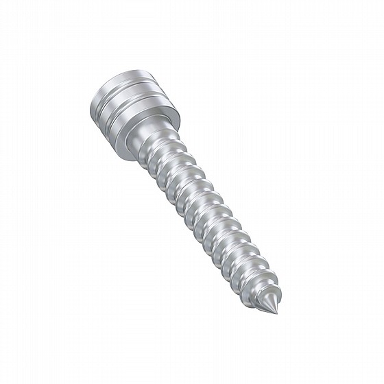 ���� ����� ����� ��������� Anchor Fixation Screw For Surgical Guide