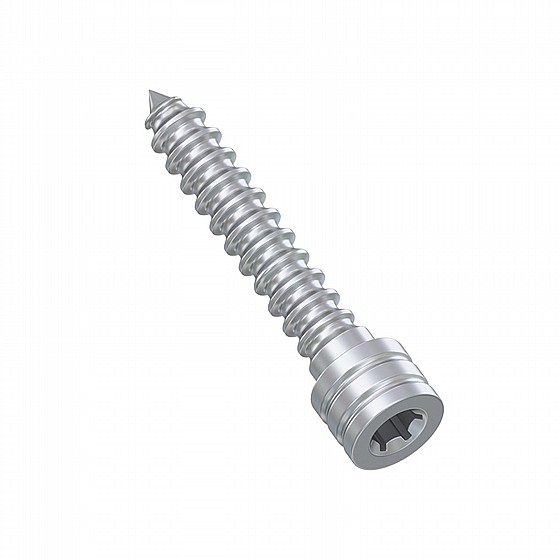 ���� ����� ����� ��������� Anchor Fixation Screw For Surgical Guide