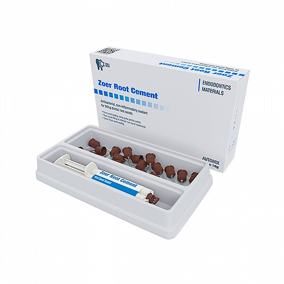 ���� ������ ����� ���� ����� �������� 15 ��� DSI Zoer Root Cement