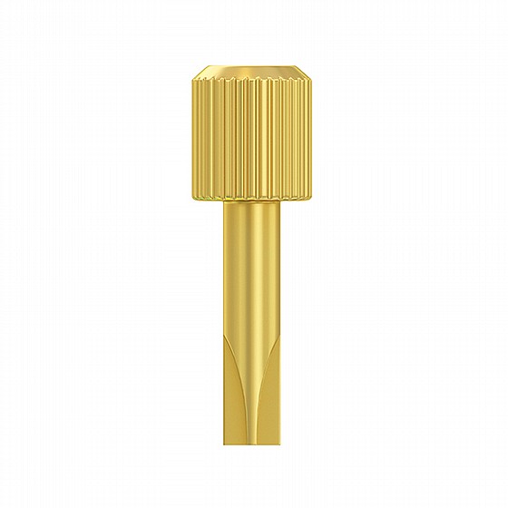 ���� ����� ������ DENTATUS KEY