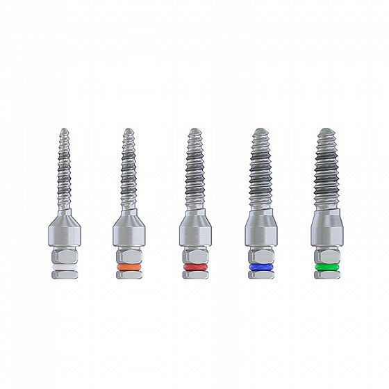 ���� �������� ���������� ������ �������, ������ ������ ��� DSI Megatron Surgical Kit