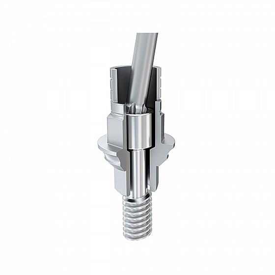 ���� ������ �� ���� ������� ��� 2.42 �"� ��� ��� ���� DSI ���� ����/����� DSI Angulated Ti-Base Cad/Cam Abutment 