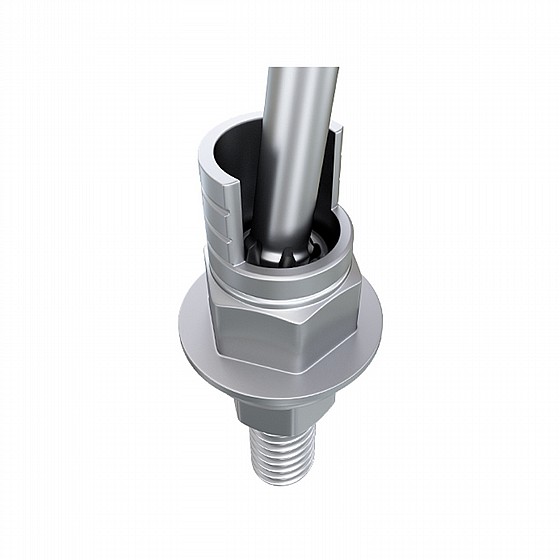 ���� ������ �� ���� ������� ��� 2.42 �"� ��� ��� ���� DSI ���� ����/����� DSI Angulated Ti-Base Cad/Cam Abutment 