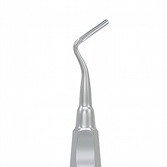 ���� ����� ��� ����� �� ���� Root Elevator Apical