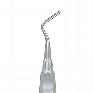 ���� ����� ��� ����� �� ���� Root Elevator Apical