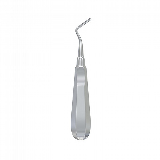 ���� ����� ��� ����� �� ���� Root Elevator Apical