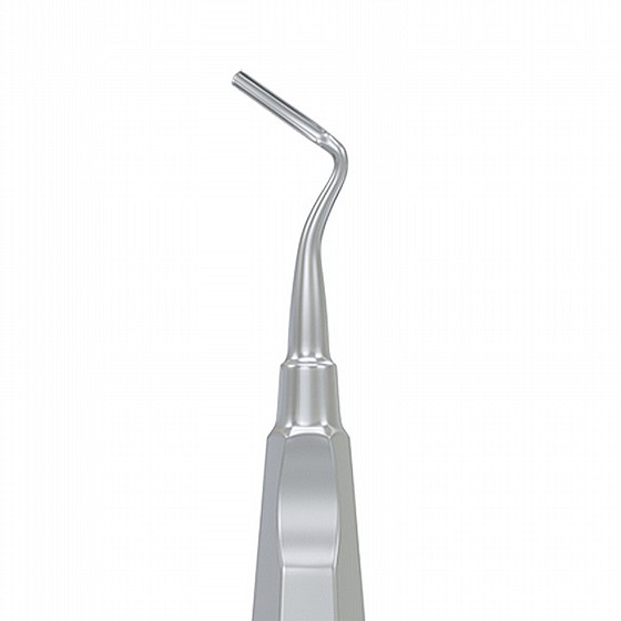 ���� ����� ��� ����� �� ���� Root Elevator Apical