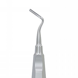 ���� ����� ��� ����� �� ���� Root Elevator Apical