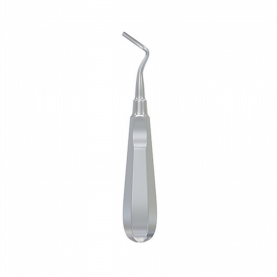 ���� ����� ��� ����� �� ���� Root Elevator Apical