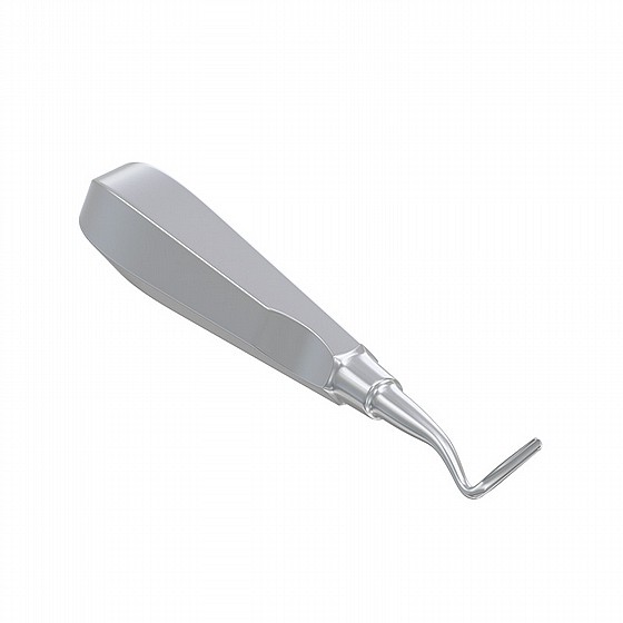 ���� ����� ��� ����� �� ���� Root Elevator Apical