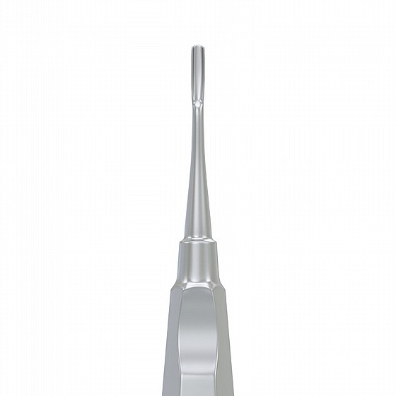 ���� ��� ��� ����� Root Elevator Apical