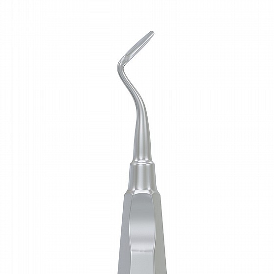 ���� ����� ��� ����� �� ���� Root Elevator Flohr