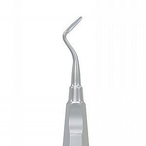 ���� ����� ��� ����� �� ���� Root Elevator Flohr
