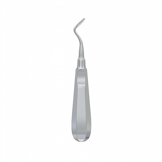 ���� ����� ��� ����� �� ���� Root Elevator Flohr