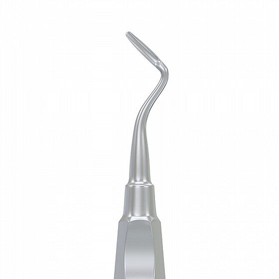 ���� ����� ��� ����� �� ���� Root Elevator Flohr