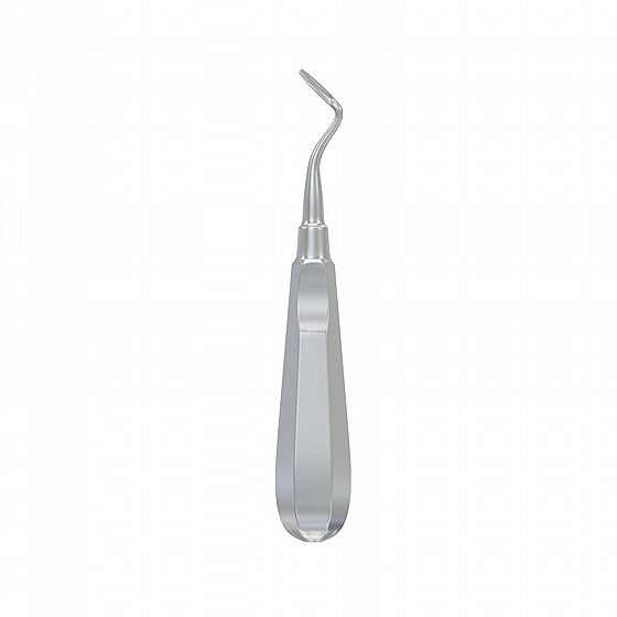 ���� ����� ��� ����� �� ���� Root Elevator Flohr