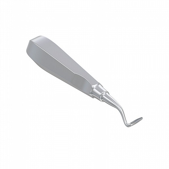 ���� ����� ��� ����� �� ���� Root Elevator Flohr