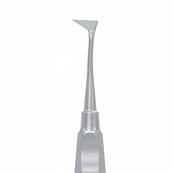 ���� ����� �� ���� Root Elevator Seldin