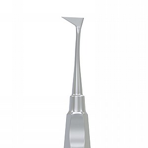 ���� ����� �� ���� Root Elevator Seldin