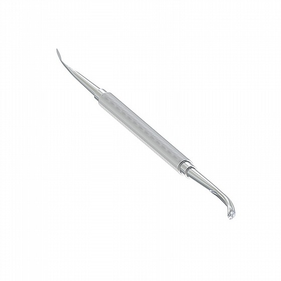 ������� ������ ���� 19 �"� Periodontal Periosteal Molt