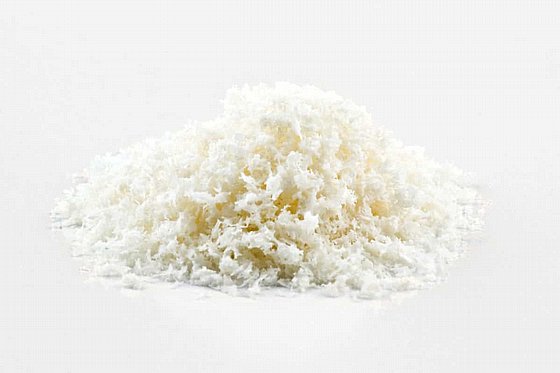 ������ ��� ����� ����� �������-������ ����� X ��� ������ Botiss Biomaterials Maxgraft� Granules Substitute from Human Bone