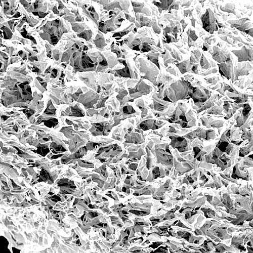 ������� ����� ������ 20 � 20 ��� 12 �� Botiss Biomaterials Collprotect� Membrane
