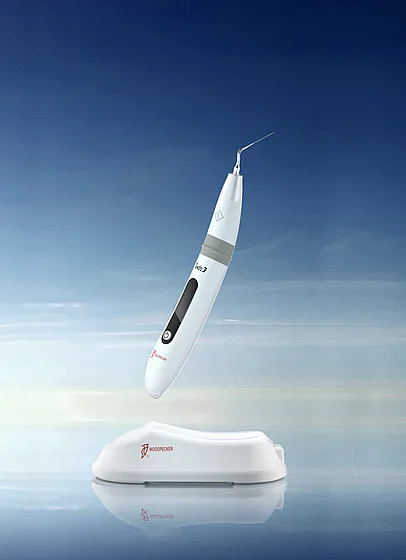 ����� ����� ��������� Woodpecker Endo 3 
