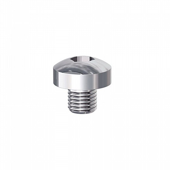 ������� �� ��� �����, ��� ���� 10 ��� Dentaurum Hexagon Socket Screw for Herbst TS / I