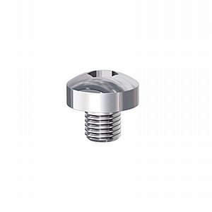 ������� �� ��� �����, ��� ���� 10 ��� Dentaurum Hexagon Socket Screw for Herbst TS / I