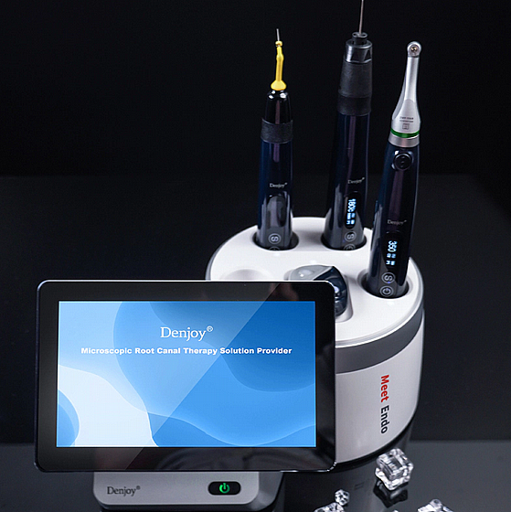 ����� ���������� ���-���� Denjoy Meet Endo All-in-One Endodontic System