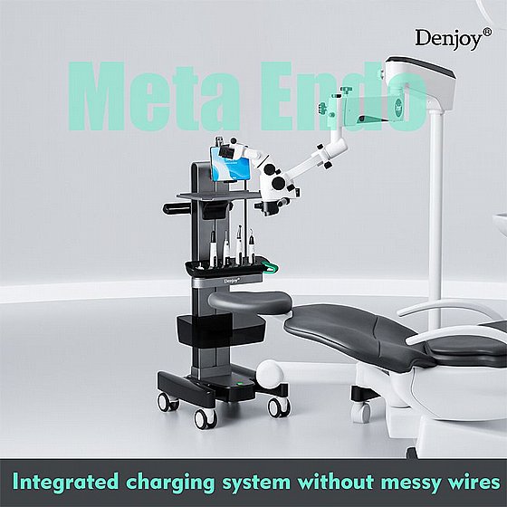 ����� ���������� ���-���� �� ���� ����� ���� Denjoy Meta Endo All-in-One Endodontic System