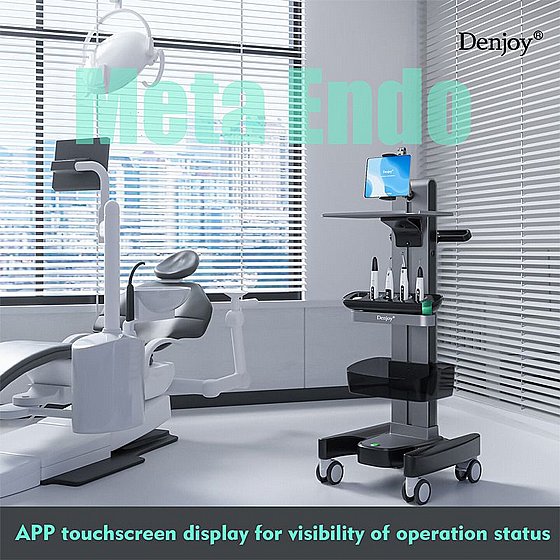 ����� ���������� ���-���� �� ���� ����� ���� Denjoy Meta Endo All-in-One Endodontic System