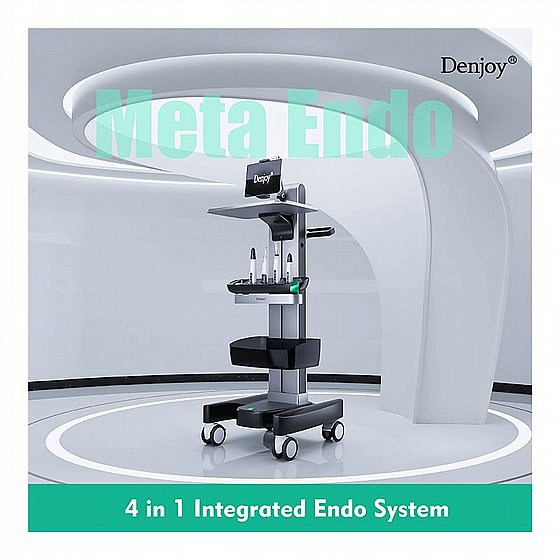 ����� ���������� ���-���� �� ���� ����� ���� Denjoy Meta Endo All-in-One Endodontic System