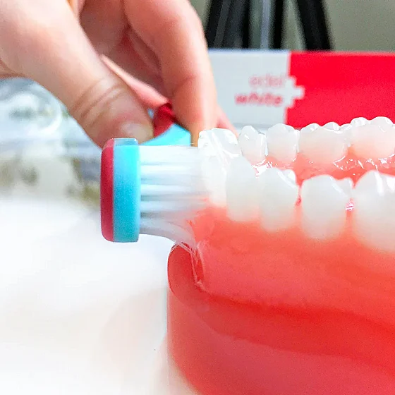 ����� ������ ����� ������ �������� Edelwhite EW-GUMP Pro Gums Toothbrush
