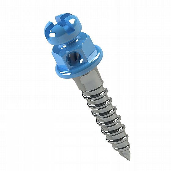 ���� ���� ���������� ������  ���� 1.5 - 2�� ����� ������ Morelli Orthodontic Mini Screw 