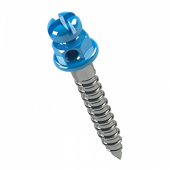 ���� ���� ���������� ������  ���� 1.5 - 2�� ����� ������ Morelli Orthodontic Mini Screw 