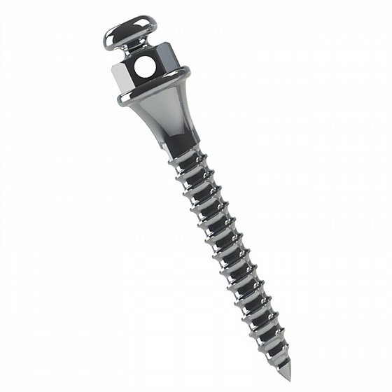 ���� ���� ���������� ������  ���� 1.5 - 2�� ����� ������ Morelli Orthodontic Mini Screw 