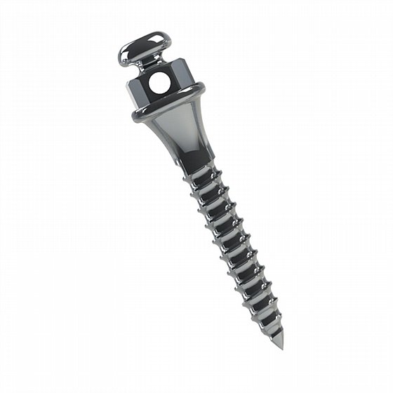 ���� ���� ���������� ������  ���� 1.5 - 2�� ����� ������ Morelli Orthodontic Mini Screw 