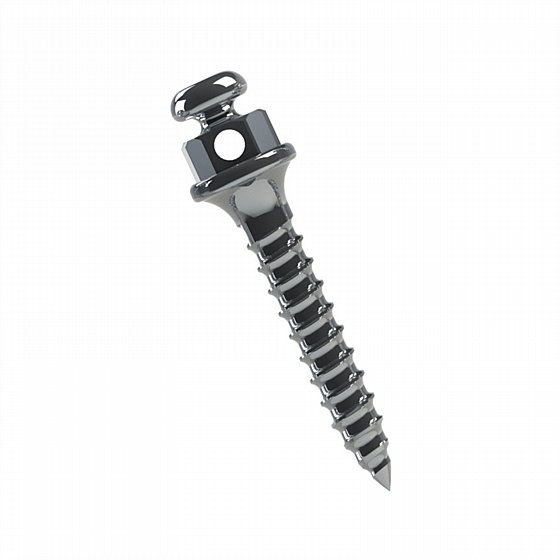 ���� ���� ���������� ������  ���� 1.5 - 2�� ����� ������ Morelli Orthodontic Mini Screw 