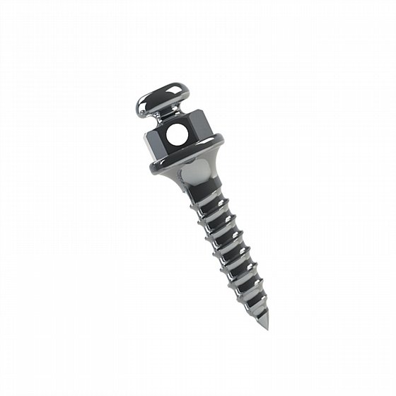 ���� ���� ���������� ������  ���� 1.5 - 2�� ����� ������ Morelli Orthodontic Mini Screw 