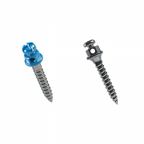���� ���� ���������� ������  ���� 1.5 - 2�� ����� ������ Morelli Orthodontic Mini Screw 