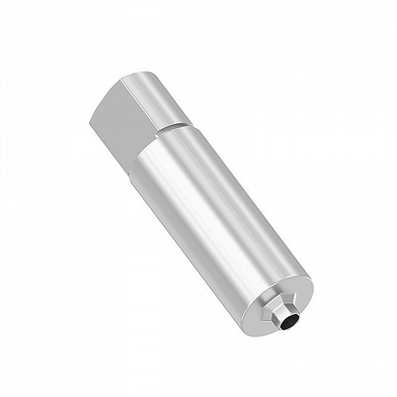 ���� ����� 10/8 ��� ����� ����� �� ������ ���� ��MIS� SP