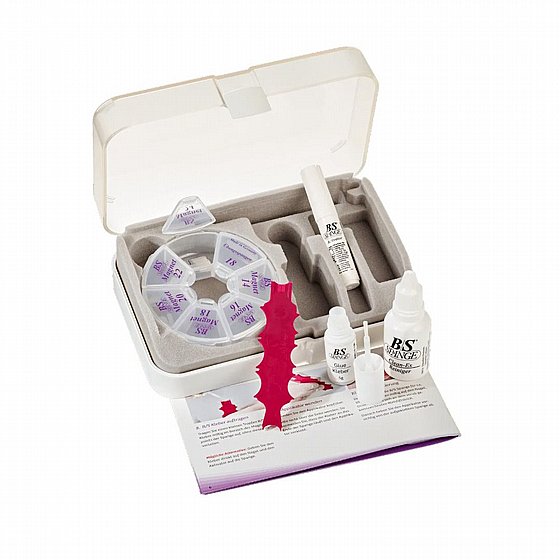 �� ������ ����� ������� �� �������� B/S Magnetic Professional Set