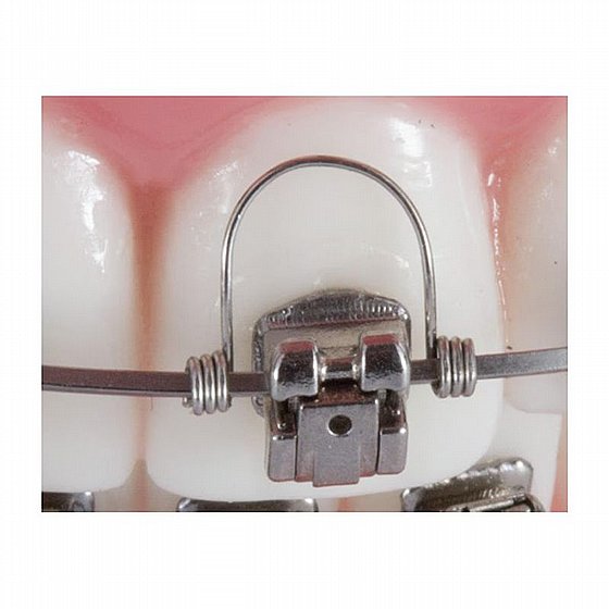���� ������ ���� 019x.025 ������ ����� 10 �� Reliance Warren Torquing Springs