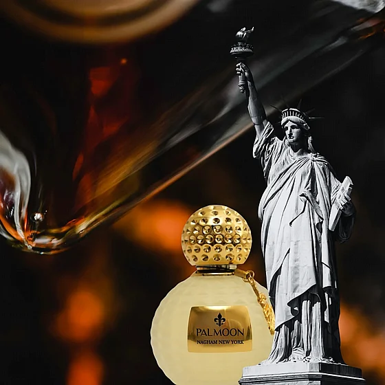 ���� ��� ���� ���� ����� 100 �� Palmoon Nagham New York Eau de Parfum