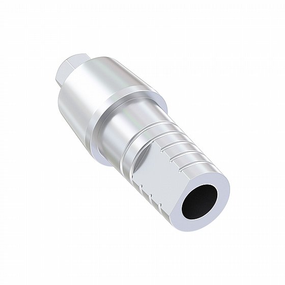 ���� ��� ����� ������ 1-4 �"� ������ ��� 2.42 �"� ���� ������ DSI STRAIGHT SHOULDER ABUTMENT